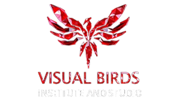 visual birds